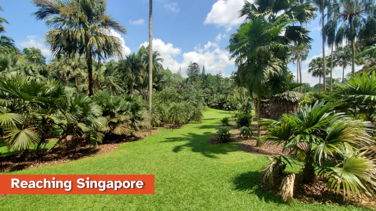 Photo of green space at Botanic Gardens