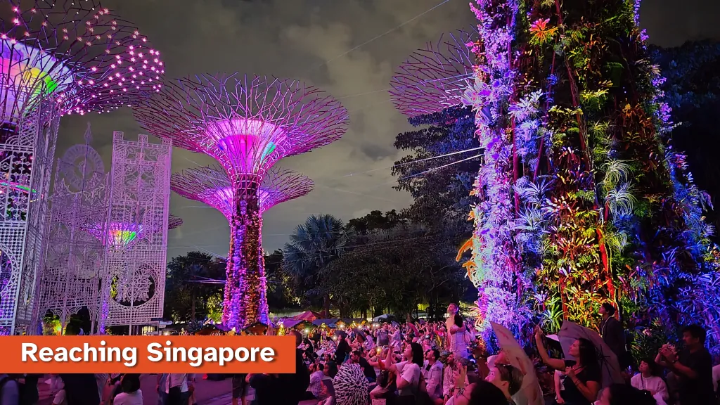 Gardens by the Bay light show