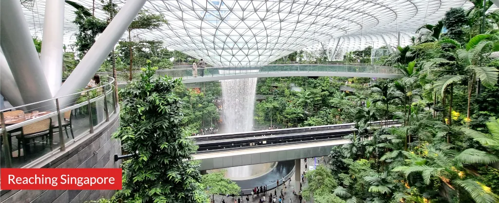 Photo of Jewel waterfall and canopy bridge