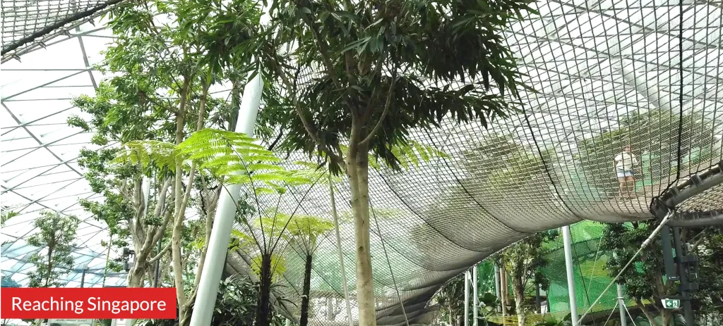 Photo of nets at Canopy Park Level, Jewel