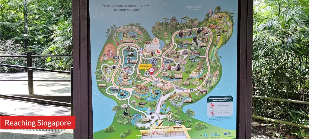 Photo of Singapore Zoo map