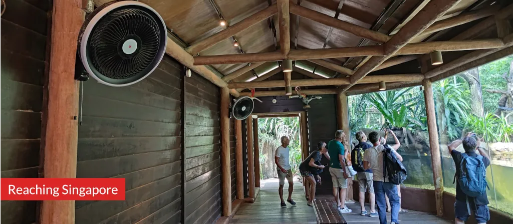 Photo of sheltered exhibit at Singapore Zoo